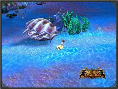 图片: 图4+贝壳与海草低声讲述着深海传说.jpg