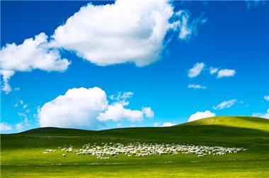 图片: 图2+美丽的呼伦贝尔草原.jpg