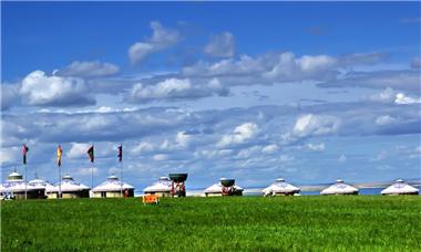 图片: 图3+美丽的呼伦贝尔草原.jpg