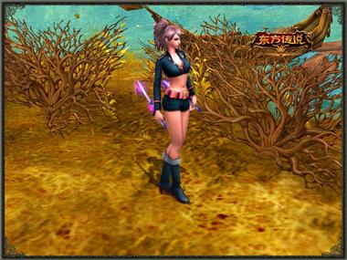 图片: 图4+一看就是杰克船长的忠诚船员.jpg